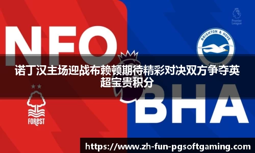 诺丁汉主场迎战布赖顿期待精彩对决双方争夺英超宝贵积分