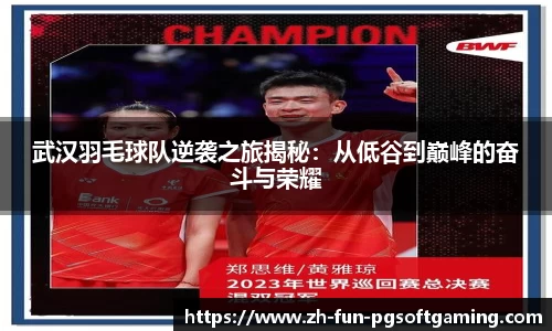武汉羽毛球队逆袭之旅揭秘：从低谷到巅峰的奋斗与荣耀